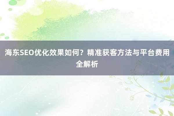 海东SEO优化效果如何？精准获客方法与平台费用全解析