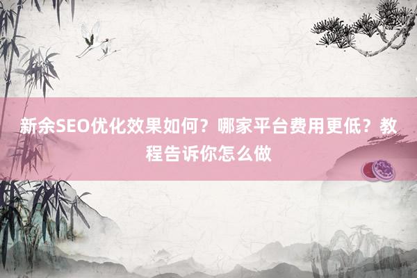 新余SEO优化效果如何？哪家平台费用更低？教程告诉你怎么做