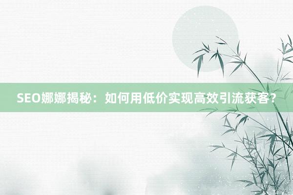 SEO娜娜揭秘：如何用低价实现高效引流获客？