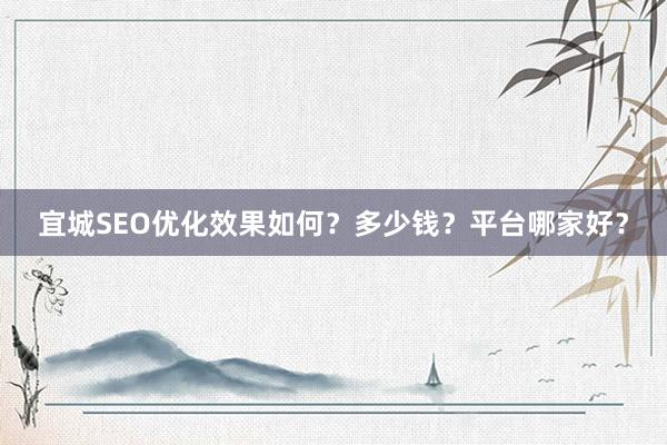 宜城SEO优化效果如何？多少钱？平台哪家好？