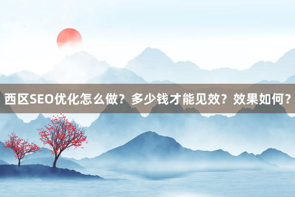 西区SEO优化怎么做？多少钱才能见效？效果如何？