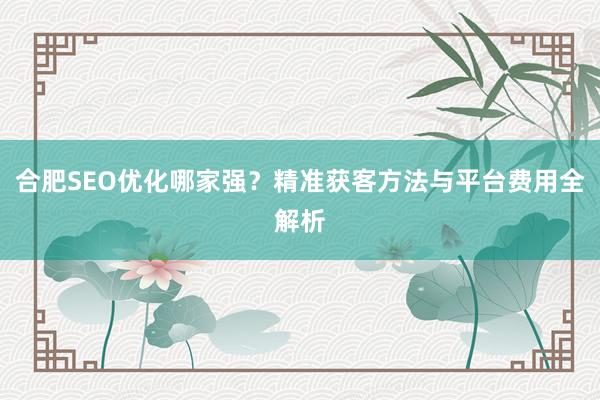 合肥SEO优化哪家强？精准获客方法与平台费用全解析