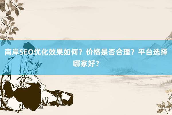南岸SEO优化效果如何？价格是否合理？平台选择哪家好？