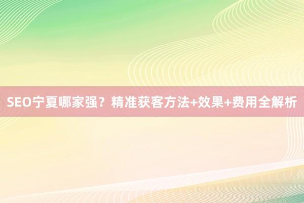 SEO宁夏哪家强？精准获客方法+效果+费用全解析