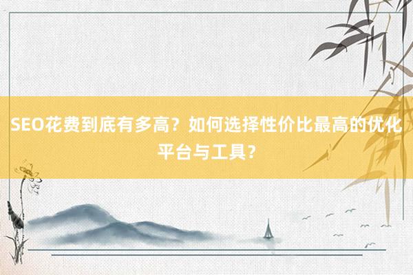 SEO花费到底有多高？如何选择性价比最高的优化平台与工具？
