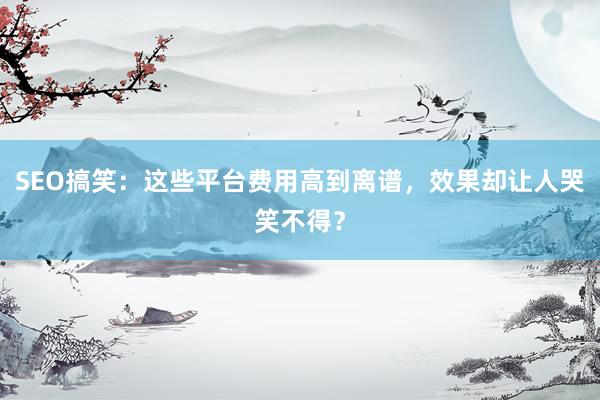 SEO搞笑：这些平台费用高到离谱，效果却让人哭笑不得？