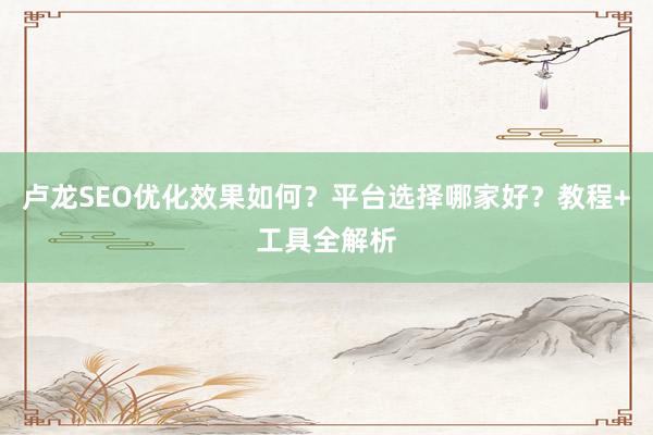 卢龙SEO优化效果如何？平台选择哪家好？教程+工具全解析