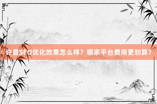 许昌SEO优化效果怎么样？哪家平台费用更划算？