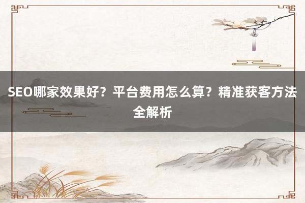 SEO哪家效果好？平台费用怎么算？精准获客方法全解析