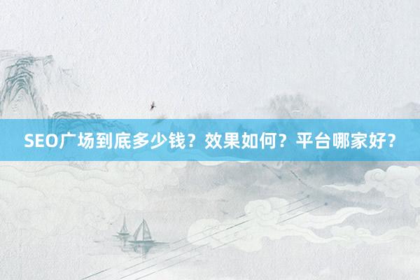 SEO广场到底多少钱？效果如何？平台哪家好？