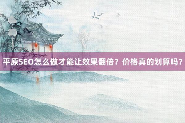 平原SEO怎么做才能让效果翻倍？价格真的划算吗？