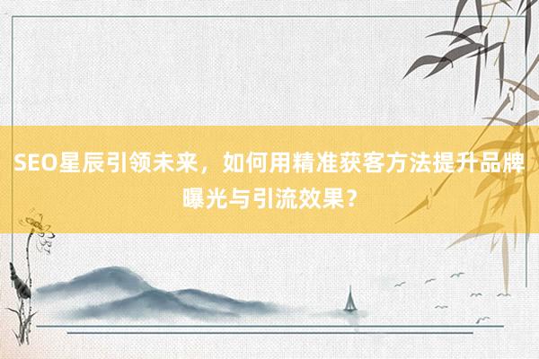 SEO星辰引领未来，如何用精准获客方法提升品牌曝光与引流效果？