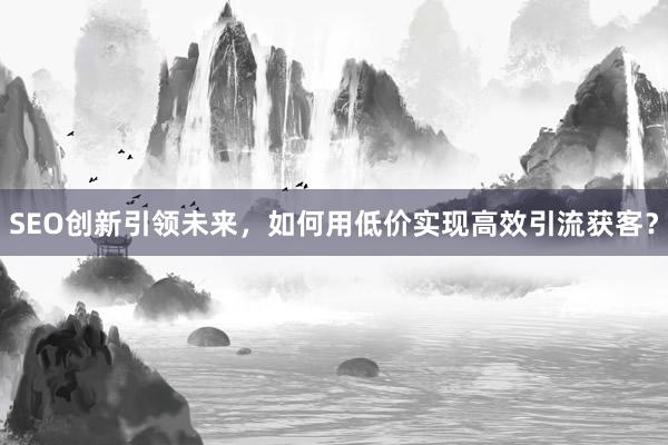 SEO创新引领未来，如何用低价实现高效引流获客？