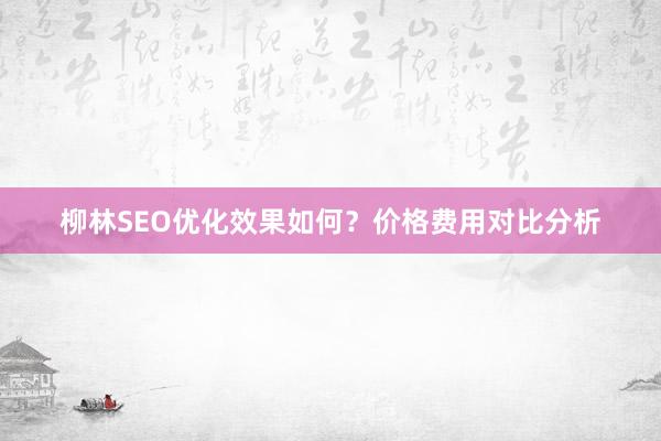 柳林SEO优化效果如何？价格费用对比分析