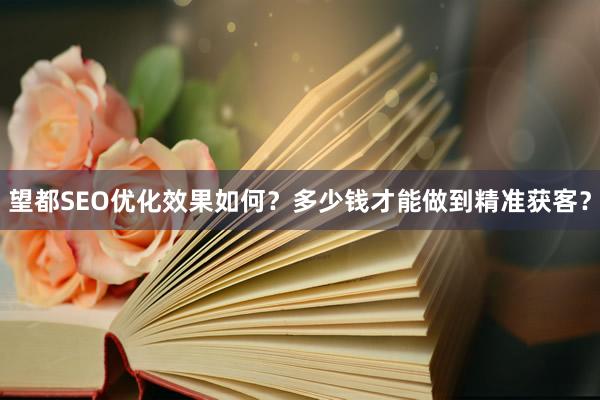 望都SEO优化效果如何？多少钱才能做到精准获客？