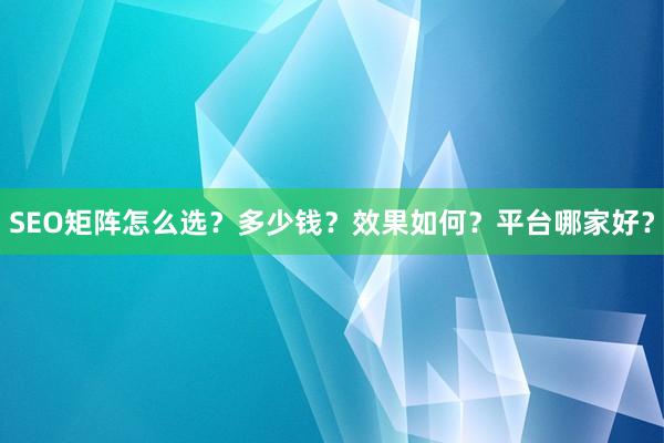 SEO矩阵怎么选？多少钱？效果如何？平台哪家好？