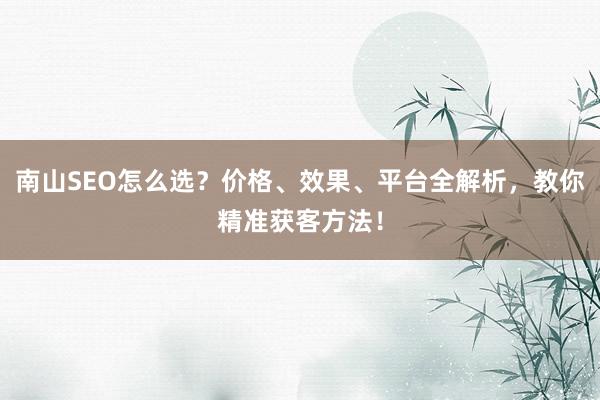南山SEO怎么选？价格、效果、平台全解析，教你精准获客方法！
