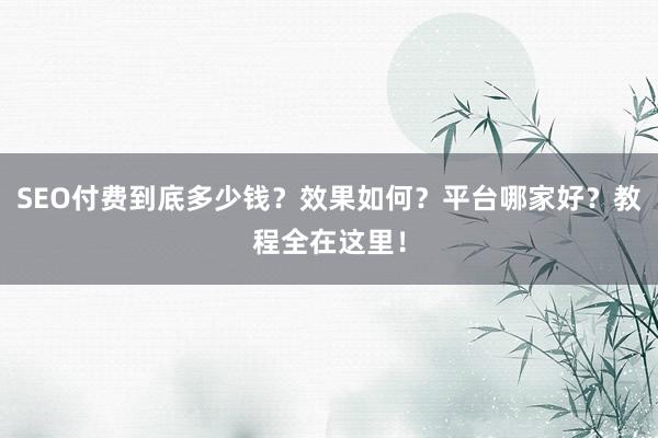 SEO付费到底多少钱？效果如何？平台哪家好？教程全在这里！