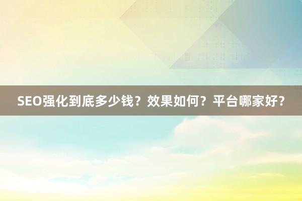 SEO强化到底多少钱？效果如何？平台哪家好？