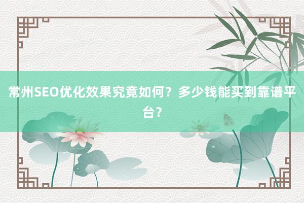 常州SEO优化效果究竟如何？多少钱能买到靠谱平台？