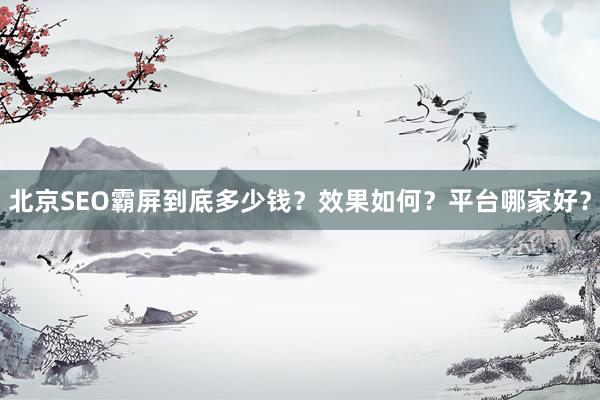 北京SEO霸屏到底多少钱？效果如何？平台哪家好？