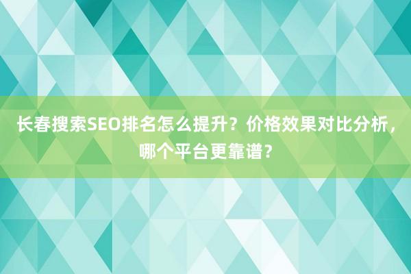 长春搜索SEO排名怎么提升？价格效果对比分析，哪个平台更靠谱？