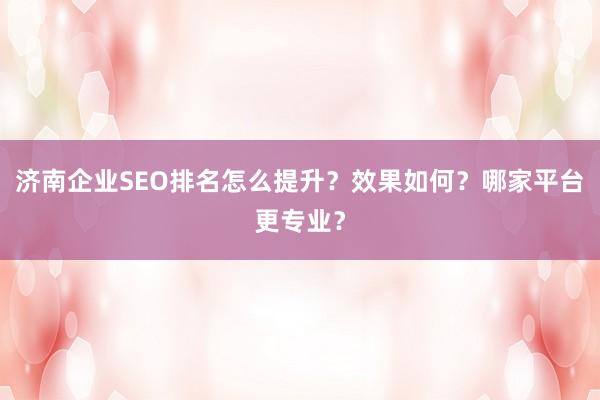 济南企业SEO排名怎么提升？效果如何？哪家平台更专业？