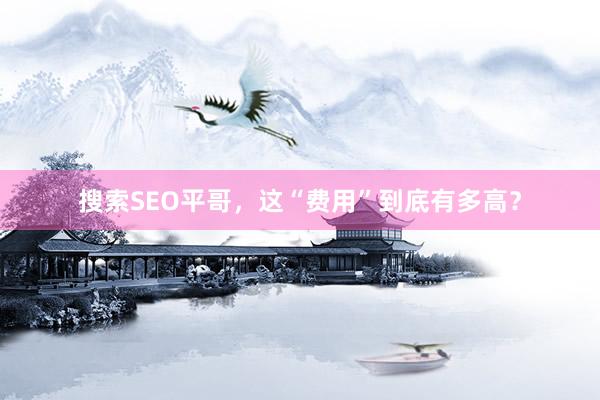 搜索SEO平哥，这“费用”到底有多高？