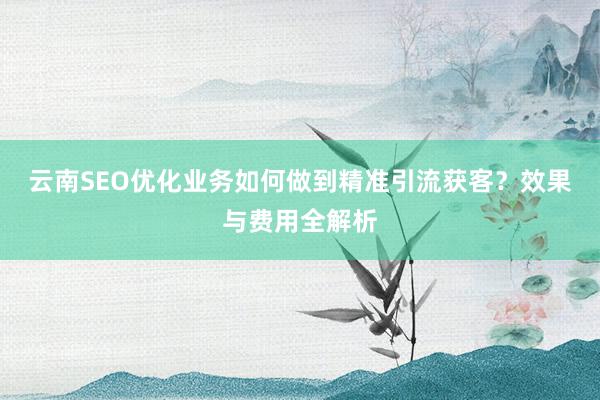云南SEO优化业务如何做到精准引流获客？效果与费用全解析