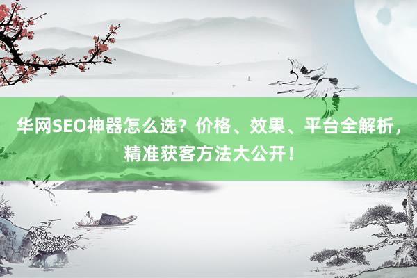 华网SEO神器怎么选？价格、效果、平台全解析，精准获客方法大公开！