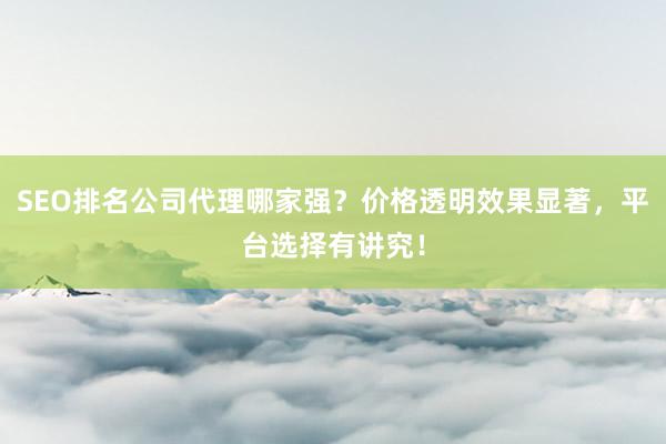 SEO排名公司代理哪家强？价格透明效果显著，平台选择有讲究！