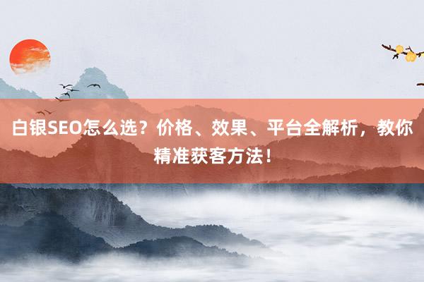 白银SEO怎么选？价格、效果、平台全解析，教你精准获客方法！