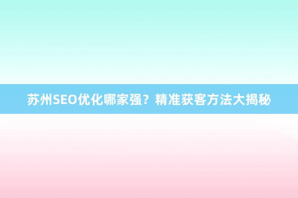 苏州SEO优化哪家强？精准获客方法大揭秘