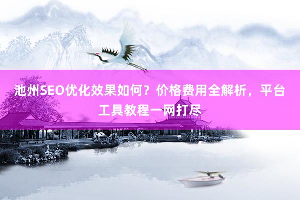 池州SEO优化效果如何？价格费用全解析，平台工具教程一网打尽