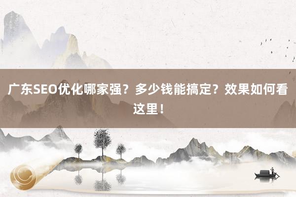 广东SEO优化哪家强？多少钱能搞定？效果如何看这里！