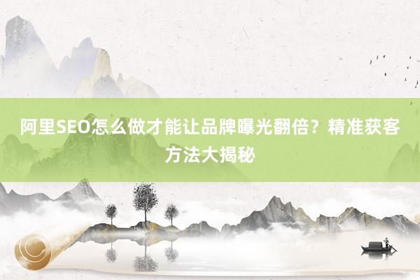 阿里SEO怎么做才能让品牌曝光翻倍？精准获客方法大揭秘