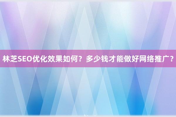 林芝SEO优化效果如何？多少钱才能做好网络推广？