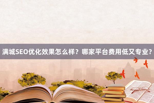满城SEO优化效果怎么样？哪家平台费用低又专业？