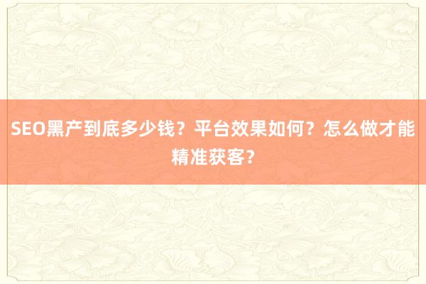 SEO黑产到底多少钱？平台效果如何？怎么做才能精准获客？
