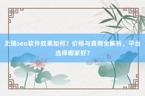 无锡seo软件效果如何？价格与费用全解析，平台选择哪家好？