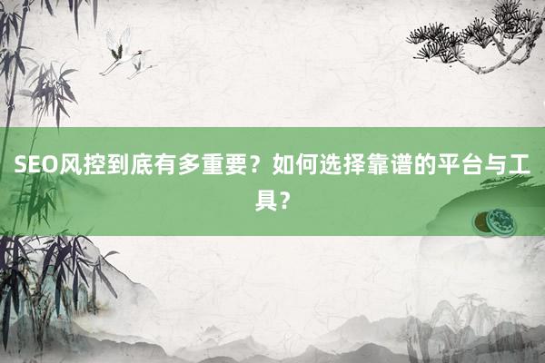 SEO风控到底有多重要？如何选择靠谱的平台与工具？