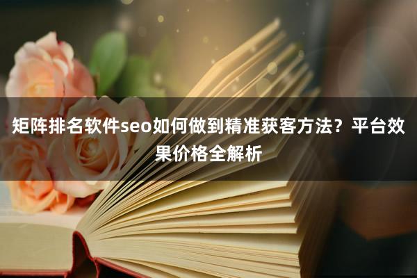 矩阵排名软件seo如何做到精准获客方法？平台效果价格全解析