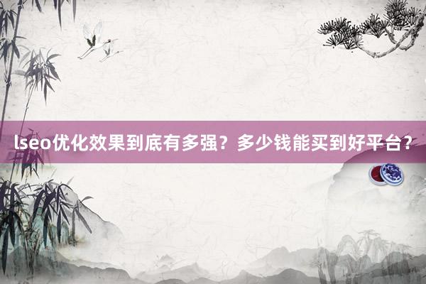 lseo优化效果到底有多强？多少钱能买到好平台？