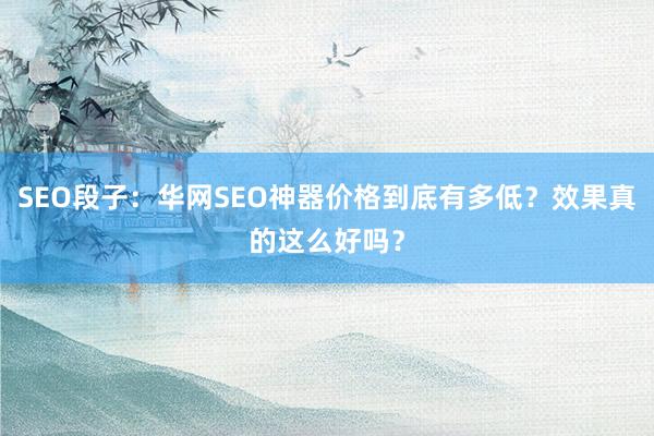 SEO段子：华网SEO神器价格到底有多低？效果真的这么好吗？