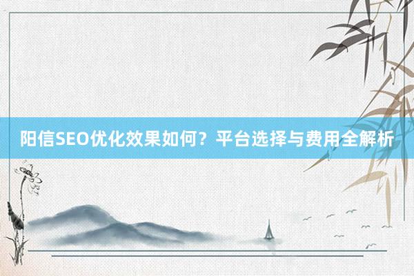 阳信SEO优化效果如何？平台选择与费用全解析