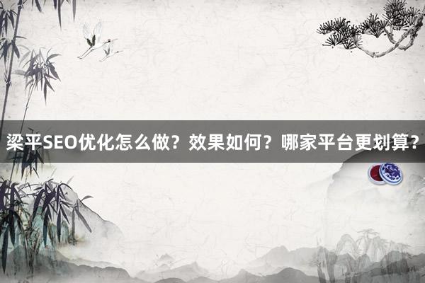 梁平SEO优化怎么做？效果如何？哪家平台更划算？