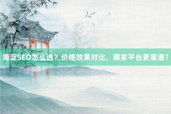 海淀SEO怎么选？价格效果对比，哪家平台更靠谱？