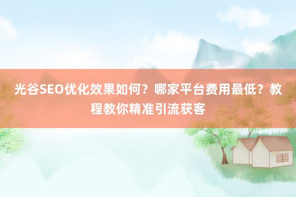 光谷SEO优化效果如何？哪家平台费用最低？教程教你精准引流获客