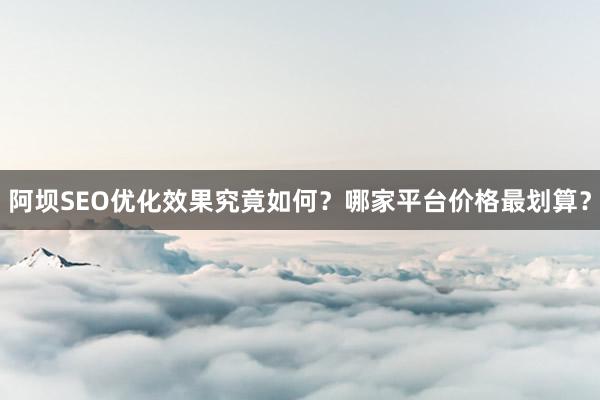 阿坝SEO优化效果究竟如何？哪家平台价格最划算？