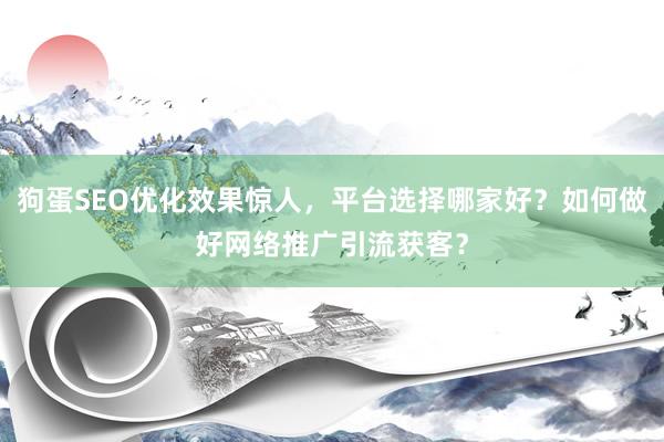 狗蛋SEO优化效果惊人，平台选择哪家好？如何做好网络推广引流获客？
